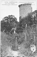 Delcampe - CHEVREUSE  - Chateau De La MADELEINE - Chevreuse
