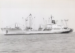 Delcampe - Nedlloyd Oranjestad Cargo Ship Postcard Size Real Photo #SDD655.A - Handel