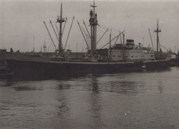 Delcampe - PERICLES Cargo Ship Postcard Size Real Photo #SDD639.A - Handel