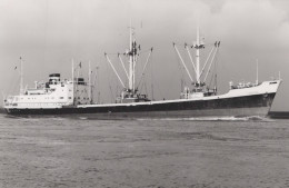 Delcampe - THERON Cargo Ship 1963 Postcard Size Real Photo #SDD650.A - Handel