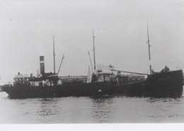 Delcampe - TRAED Cargo Ship 1917 Postcard Size Real Photo #SDD649.A - Handel