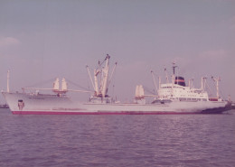 Delcampe - Trident Cargo Ship Postcard Size Real Photo #SDD656.A - Handel