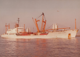 Delcampe - NEDLLOYD WILLEMSTAD Cargo Ship Postcard Size Real Photo #SDD657.A - Handel