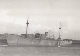 Delcampe - Unidentified Cargo Ship Postcard Size Real Photo #SDD642.A - Handel