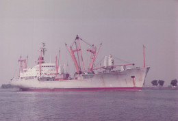 Delcampe - NEDLLOYD SMAARSTAD Cargo Ship 1970 Postcard Size Real Photo #SDD653.A - Handel