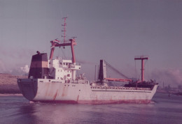 Delcampe - STENTOR Cargo Ship 1979 Postcard Size Real Photo #SDD643.A - Handel