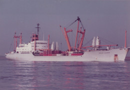Delcampe - NEDLLOYD WILLEMSTAD Cargo Ship 1983 Postcard Size Real Photo #SDD658.A - Handel
