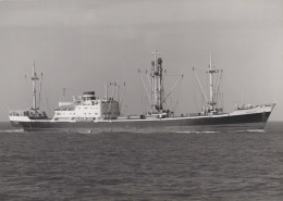 Delcampe - PERICLES Cargo Ship Postcard Size Real Photo #SDD640.A - Handel