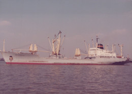 Delcampe - VEGA GRENLANDING Cargo Ship Oranjestad Postcard Size Real Photo #SDD652.A - Handel