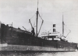 Delcampe - Cargo Ship TITAN 1891 Postcard Size Real Photo #SDD661.A - Handel