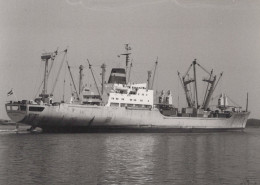 Delcampe - NEDLLOYD Cargo Ship ORANJESTAD Postcard Size Real Photo #SDD654.A - Handel
