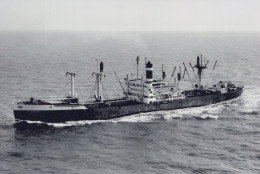Delcampe - KNSM Cargo Ship Breda Postcard Size Real Photo #SDD666.A - Handel