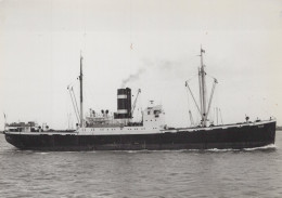 Delcampe - TITUS Cargo Ship 1980 Postcard Size Real Photo #SDD660.A - Handel