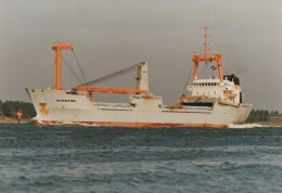 Delcampe - STENTOR Cargo Ship Postcard Size Real Photo #SDD647.A - Handel