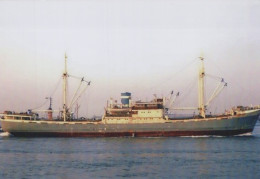 Delcampe - CASTOR Cargo Ship 1939 Postcard Size Real Photo #SDD668.A - Handel
