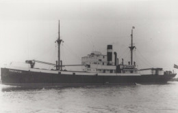 Delcampe - THESEUS Cargo Ship Postcard Size Real Photo #SDD676.A - Handel