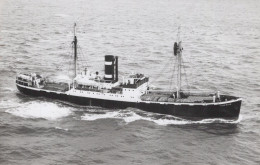 Delcampe - TIBERIUS Cargo Ship Postcard Size Real Photo #SDD677.A - Handel