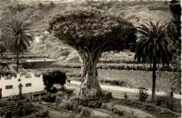 Delcampe - Icod Teneriffe - Tenerife
