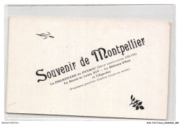 Delcampe - BAXP10-0900-34 - Souvenir De MONTPELLIER - Carte Double - Montpellier