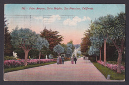 Delcampe - Postcard, United States, San Francisco CA, Palm Avenue, Sutro Heights - San Francisco