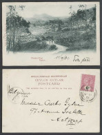 Delcampe - Ceylon Colombo To Antwerp QV 6c 1901 Old UB Postcard Nuwara Eliya Road Man & Dog - Sri Lanka (Ceylon)