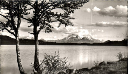 Delcampe - CPM Les Belles Alpes Francaises Lacs De Laffrey Isere Lac De Petichet Et L'Obiou - Laffrey