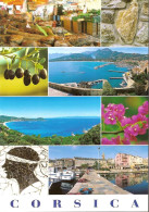 Delcampe - CPM GRAND FORMAT 1 - CORSE - CORSICA - MULTIVUES - Corse