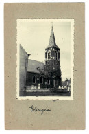 Delcampe - Elingen  Pepingen  FOTO Van De Sint-Amanduskerk - Pepingen