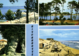 Delcampe - CPSM Biscarrosse - Biscarrosse