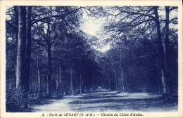 Delcampe - CPA Foret De Senart S Et O Chemin Du Chene D'Antin - Epinay Sous Senart