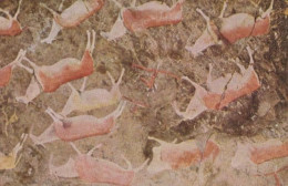 Delcampe - Hunting Rock Painting Zaamenkomst Maclear District Africa South African Postcard - Südafrika