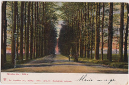 Delcampe - De Steeg 1905; Middachter Allée (met Koets) - Gelopen. (Dr. Trenkler Co. - Leipzig) - Sonstige & Ohne Zuordnung