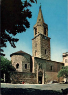 Delcampe - Frejus La Cathedrale - Frejus