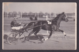 Delcampe - Vintage Postcard GERMANY, Horse Show 1930, Sports - Reitsport