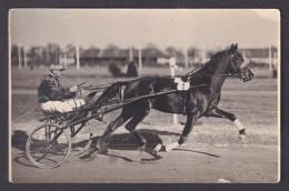 Delcampe - Vintage Postcard GERMANY, Horse Show 1930, Sports - Reitsport