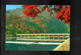Delcampe - Cpm Arashi Yama En Automne , Kyoto - Kyoto