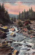 Delcampe - B220 Poland 1925 Karkonosze Riesengebirge Partie Am Zacken River Postcard - Welt
