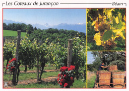 Delcampe - 64 JURANCON LES COTEAUX DE JURANCON - Jurancon