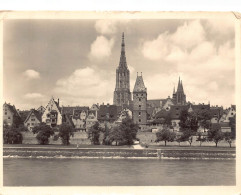 Delcampe - B233 Germany 1949 Ulm Ad Donau Panorama Vintage Postcard - Ulm