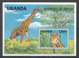 Delcampe - Uganda (Ouganda) - 1991 - Mammals: Giraffe - Yv Bf 148 - Autres & Non Classés