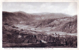 Delcampe - Bade-Wurtemberg - Blick Vom  Barentof Auf Den FELDBERG Im SCHWARSWALD - Feldberg