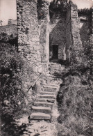 Delcampe - 78 CHEVREUSE ESCALIER DU CHEMIN DES REMPARTS - Chevreuse