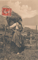 Delcampe - AGRICULTURE  // PAYSANNE   Transport A La Hotte - Autres & Non Classés