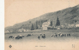 Delcampe - AGRICULTURE //    PASTORALE  299  TROUPEAU - Viehzucht