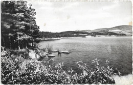Delcampe - CPSM - Bassin De SAINT FERREOL - Saint Ferreol