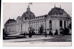 Delcampe - 75  Paris  - 75008  - Petit  Palais - Paris (08)