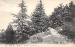 Delcampe - 63-ROYAT-N°3330-E/0031 - Royat