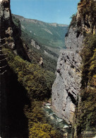 Delcampe - 26-LES GRANDS GOULETS-N°3331-D/0063 - Les Grands Goulets