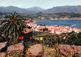 Delcampe - 20-AJACCIO-N°3334-B/0369 - Ajaccio