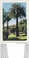 Delcampe - Carte De Grasse ( Palmiers ) - Grasse